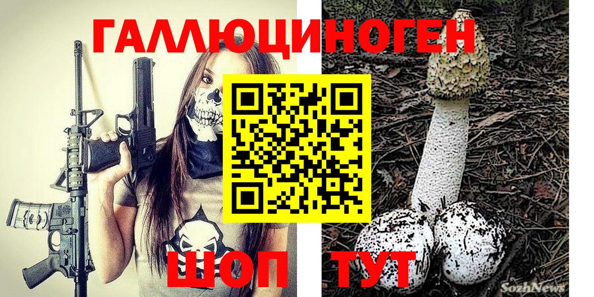 Галлюциногенные грибы GOLDEN TEACHER  Галлюциногенные грибы Cubensis  Гурьевск  Вход с VPN 